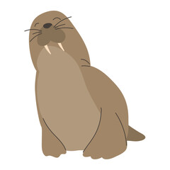 female sea lion wild animal