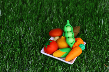 Food model still life with colorful vegetables on a plate