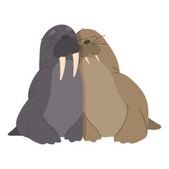 sea lions animals couple love