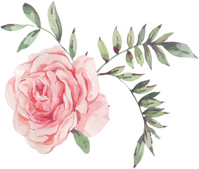 Watercolor bouquet of roses transparent png