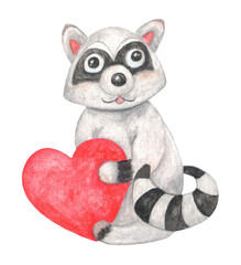 Cartoon watercolor raccoon with red heart. Design for Valentine's Day cards. Suitable for children's books, magazines, print