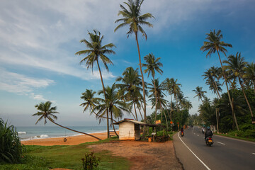 palm trees ocean beach sri lanka