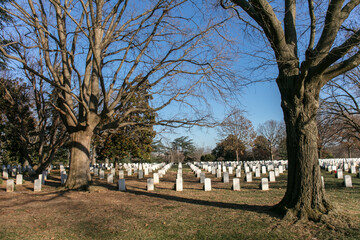 Arlington national cemetery in Virginia state

