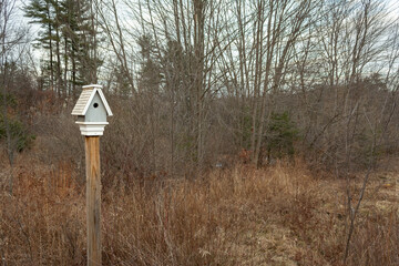 Gray and white Birdhouse on a post at the edge of the New Hampshire woods in the winter