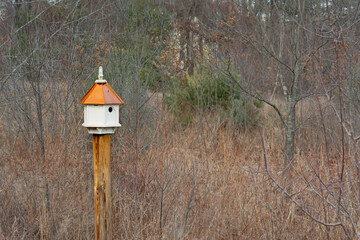 Birdhouse with a copper roof on a post at the edge of the New Hampshire woods in the winter