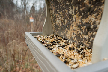 I'm filling the bird seed in the feeder hanging outside in the woods in New Hampshire, USA