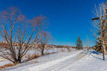Obraz premium Winter Time at Gabriel Dumont Park In Saskatoon, Canada