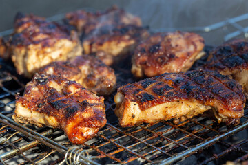 Meat skewers cooked on coals on the grill, close-up. Picnic in nature.
