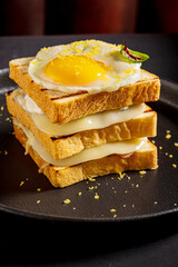 sandwich with egg and melted cheese