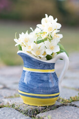 a beautiful mini bouquet of jasmine in a yellow-blue vase on a stone path 