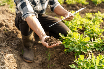 Hand of expert farmer collect soil and checking soil health Agriculture. protect the cultivation...