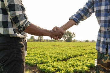 The concept of natural farming. Farmers hand touching the green leaves of wheat in the field Agriculture. protect the cultivation ecosystem, asia man farm worker, working together, shaking hands