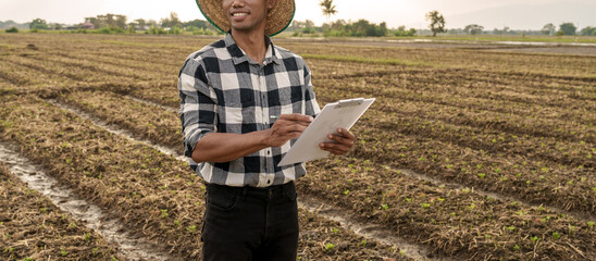 The concept of natural farming. Farmer's hand touching the green leaves of wheat in the field...