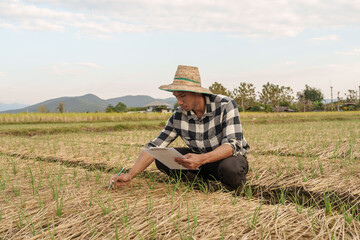 Smart farmers read or produce quality reports and insect bites on peanut leaves. Target farming with vintage template on sunlight agriculture concept, asia man farmer worker, spring onion farm