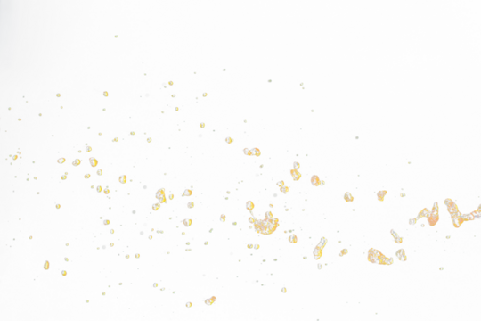 Orange, lemon juice or oil lubricant splash, liquid gold yellow drink drops. Fruit beverage water elements in line form . Fresh splashing and flowing jets, black background isolated freeze motion