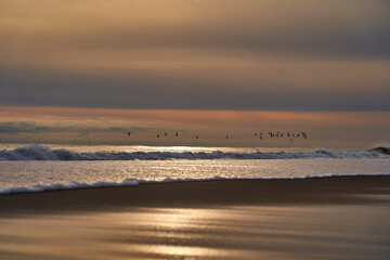 morning at the beach hamptons NY