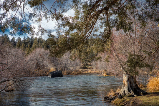 Deschutes River at Cline Falls Recreation Area. Ducks and geese in serene, calm river