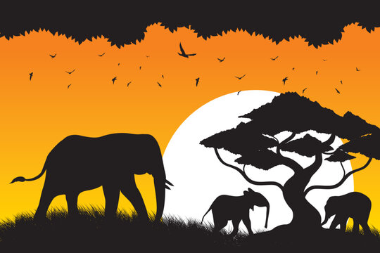 Elephant vector. Elephant silhouette in the safari park. Beautiful view on the savanna at sunset