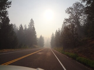 Creepy Foggy Road in California, traveling to Yosemite 