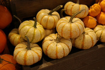 Yellow pumpkins on wooden table