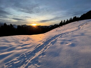 Wonderful winter hiking trails and traces in fresh alpine snow on the slopes of the Alpstein mountain range, Urnäsch (Urnaesch or Urnasch) - Canton of Appenzell Innerrhoden, Switzerland (Schweiz)