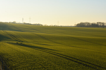 Feld mit Strommasten in Abendd&auml;mmerung