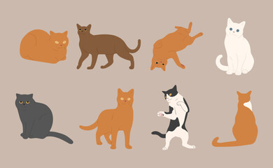 cat cute 1 on a white background, vector illustration.
