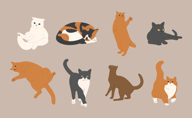 cat cute 3 on a white background, vector illustration.