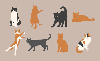 cat cute 5 on a white background, vector illustration.