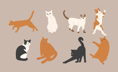cat cute 7 on a white background, vector illustration.
