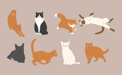 cat cute 6 on a white background, vector illustration.