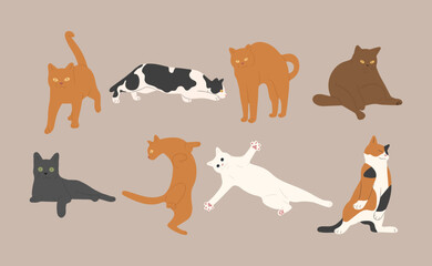 cat cute 8 on a white background, vector illustration.