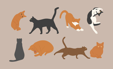 cat cute 9 on a white background, vector illustration.