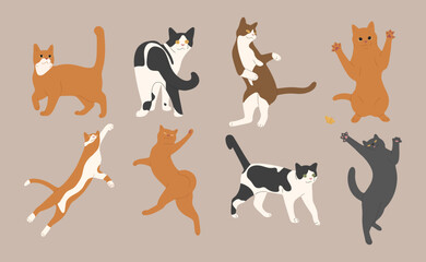 cat cute 10 on a white background, vector illustration.