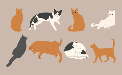 cat cute 12 on a white background, vector illustration.