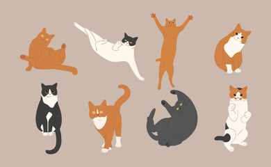 Fototapeta na wymiar cat cute 14 on a white background, vector illustration.