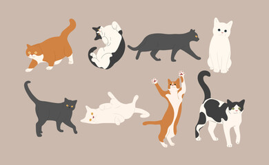 cat cute 15 on a white background, vector illustration.
