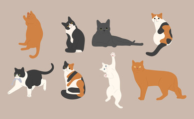 cat cute 16 on a white background, vector illustration.