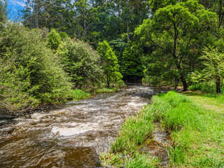 Obraz premium Fast Foaming Creek