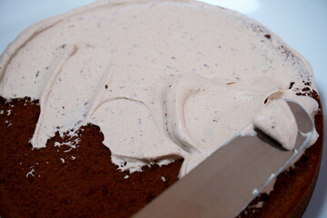 チョコチップケーキ