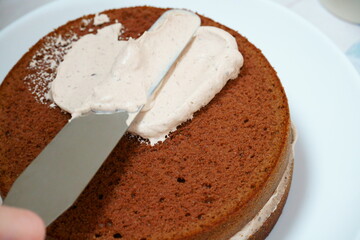 チョコチップケーキ