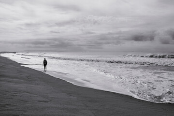 person walking on the beach