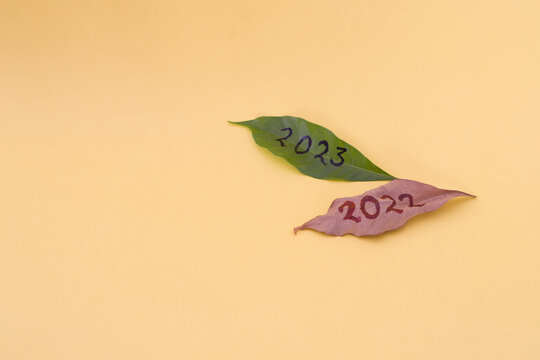 Happy new year 2023. Green leaf with 2023 and dry leaf with 2022 written on it.