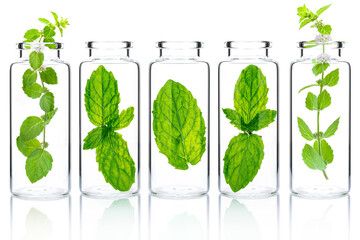 Bottles of essential oil with mint isolated on white background.