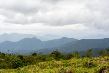 Mountain nature landscape image, Kerala nature scenery