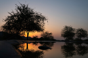 Tree with sunrise background, Beautiful Hatta Lake view