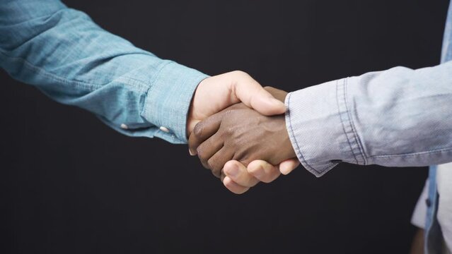 Hand shaking hands in white and black.
Close-up handshake of african man and white man.Agreed, greet, meet.

