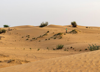 Sand dunes during beautiful sunset. Nature
