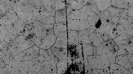 Fingerprint effect grunge texture, grunge texture, dry land crack effect, graphic texture, grunge background, broken glass texture, broken effect, dry land crack texture, dot effect