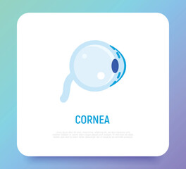 Cornea flat icon. Structure of human eye. Ophthalmology. Vector illustration.